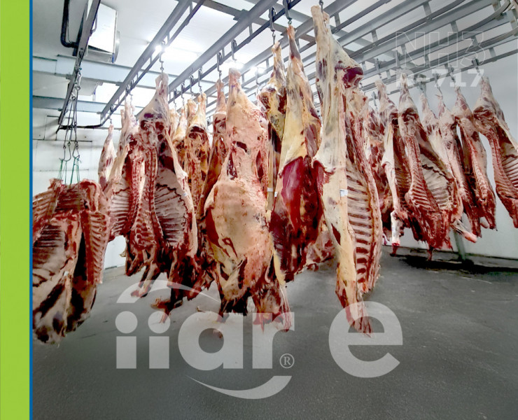 Ambientes Frigoríficos Industriais