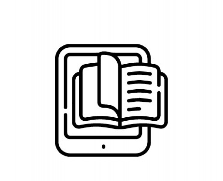 Ebook (virtual)