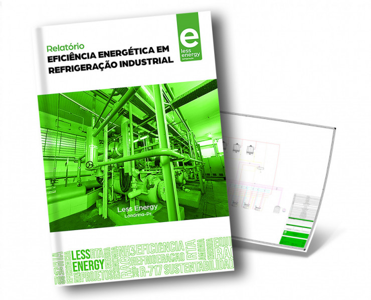 Eficiência Energética (P.E.E.)