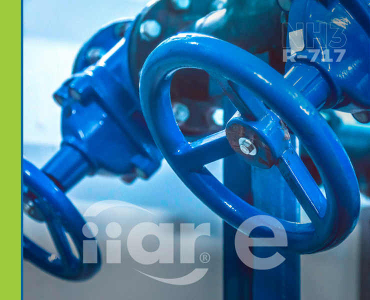 Terminologias e Válvulas Industriais em Sistemas de Refrigeração com Amônia (IIAR 1 e 3)