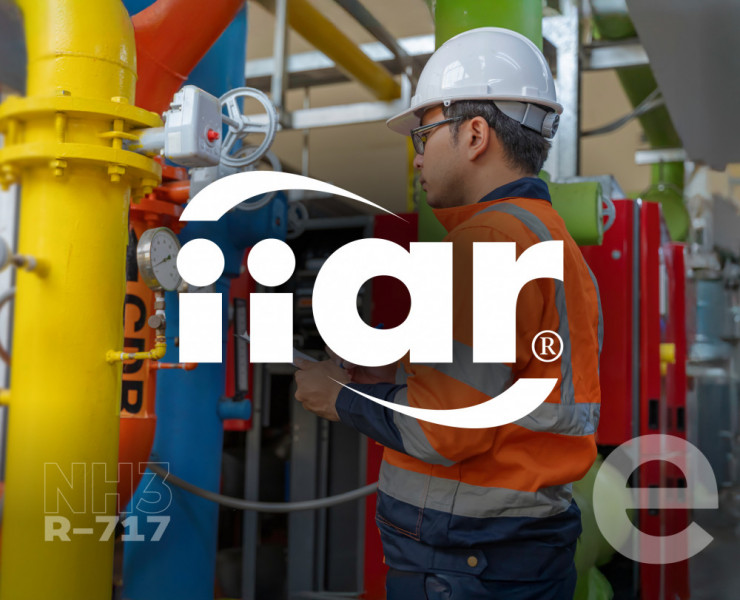 IIAR 3 e 6: Inspeção, Teste, Manutenção e Válvulas para Sistemas de Refrigeração Industrial
