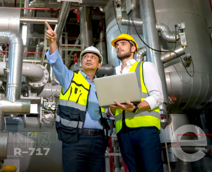 Gerenciamento e controle de riscos em sistemas com amônia