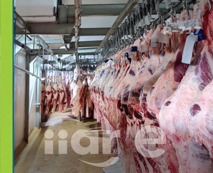 Expectativa de crescimento maior do que a média mundial