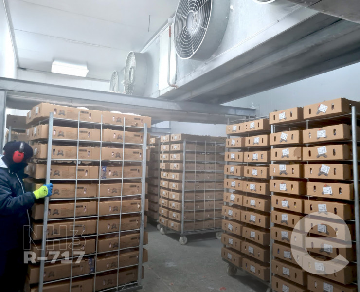 Ambientes Frigoríficos Industriais