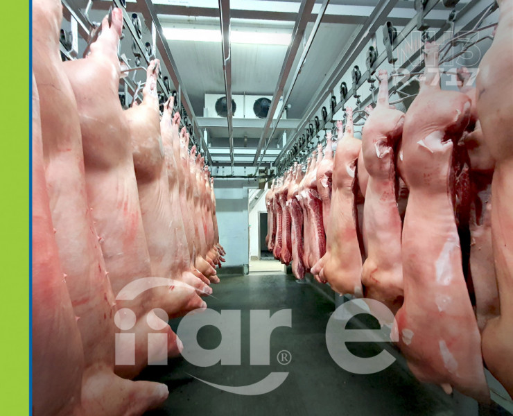 Ambientes Frigoríficos Industriais