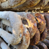 Segurança em Refrigeração Industrial por Amônia (R-717)